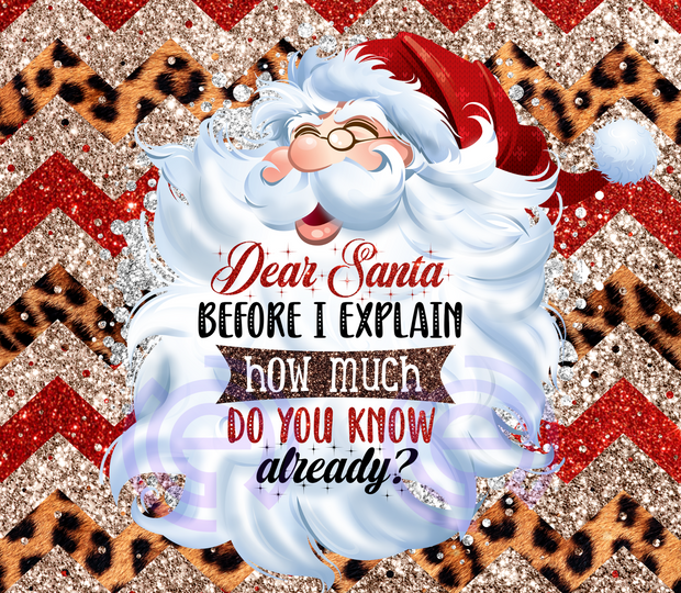 Dear Santa Before I Explain How Much..